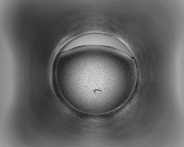 X0000115610199200911171155