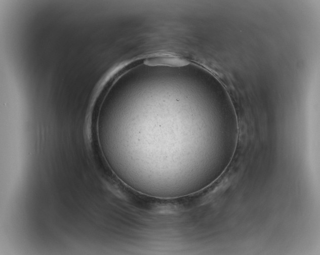 X0000115610200200911171155