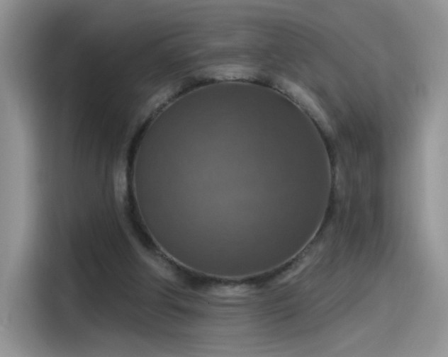 X0000115610202200911171155