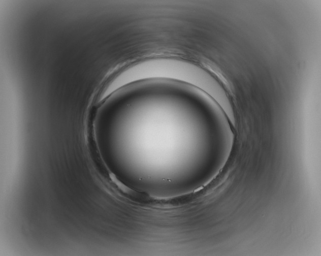 X0000115610203200911171155