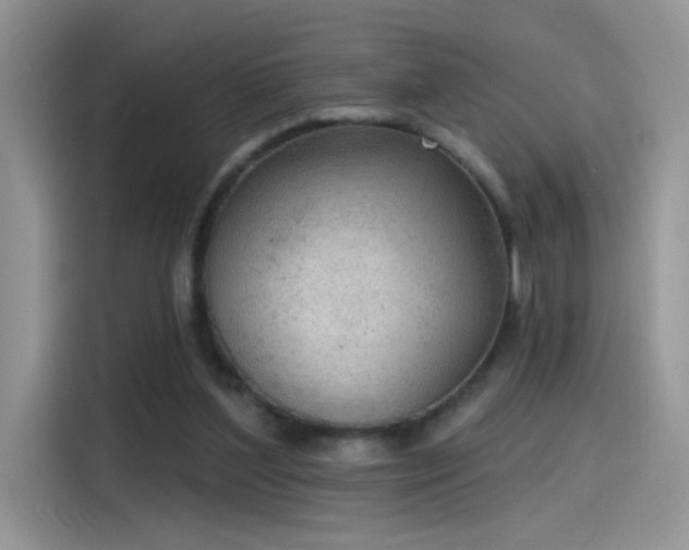 X0000115610204200911171155
