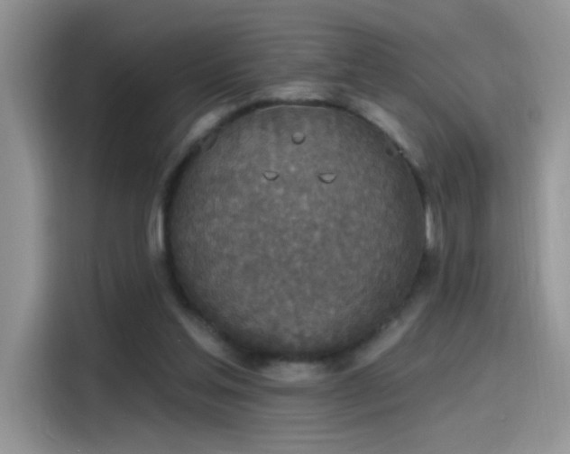 X0000115610205200911171155