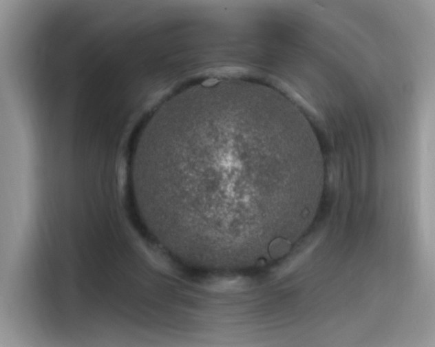 X0000115610206200911171155