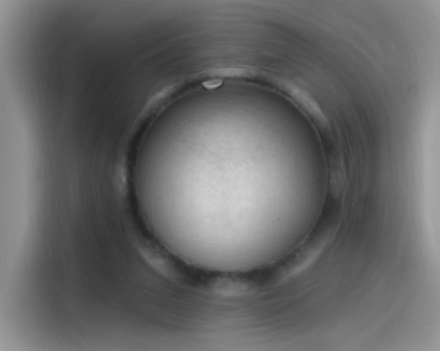 X0000115610207200911171155