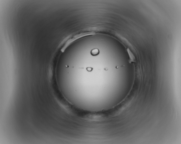 X0000115610208200911171155