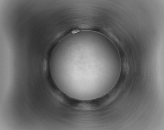 X0000115610211200911171155