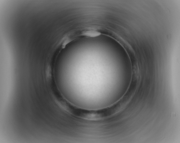 X0000115610212200911171155