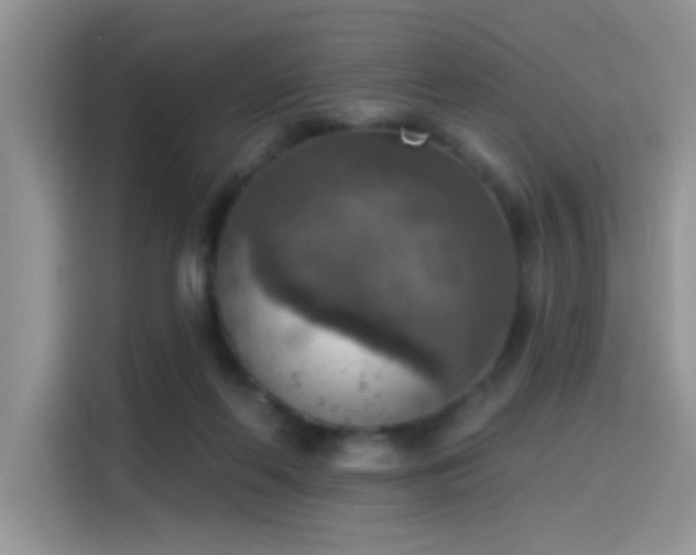 X0000115610214200911171155