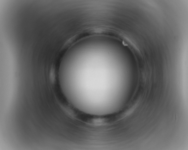 X0000115610216200911171155