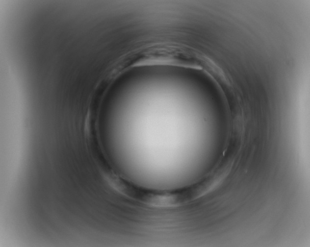 X0000115610217200911171155