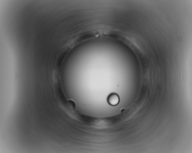 X0000115610218200911171155