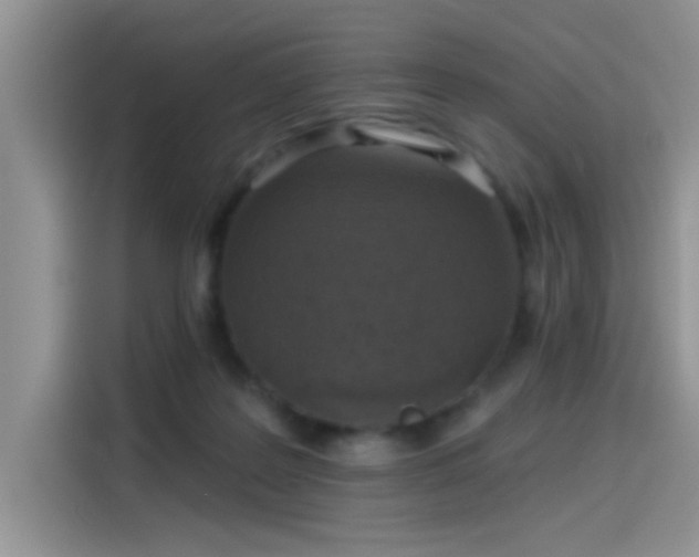X0000115610219200911171155
