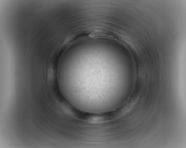 X0000115610220200911171155