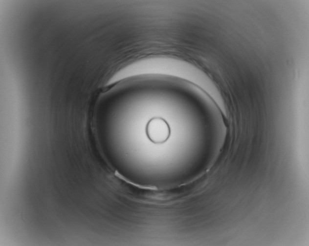 X0000115610221200911171154