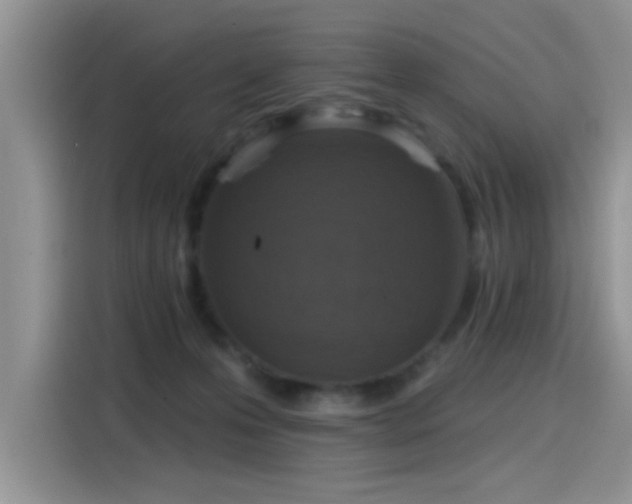 X0000115610223200911171154