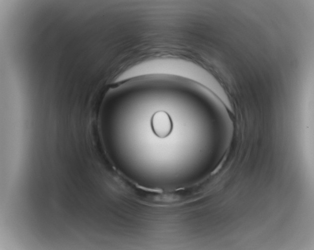 X0000115610225200911171154