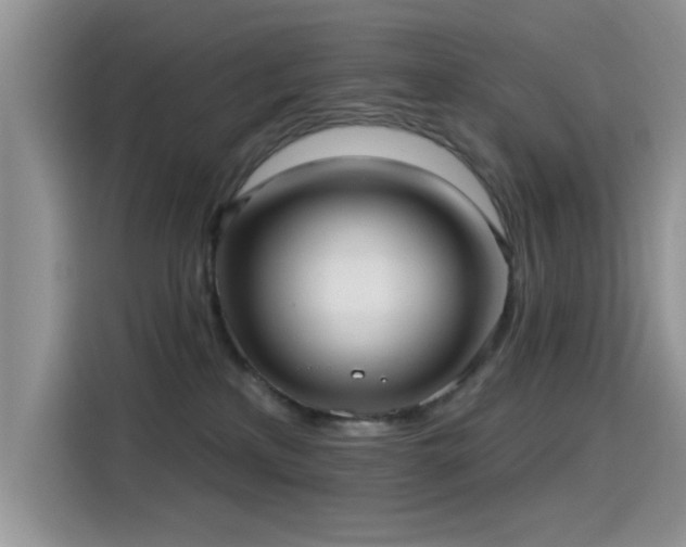 X0000115610233200911171154