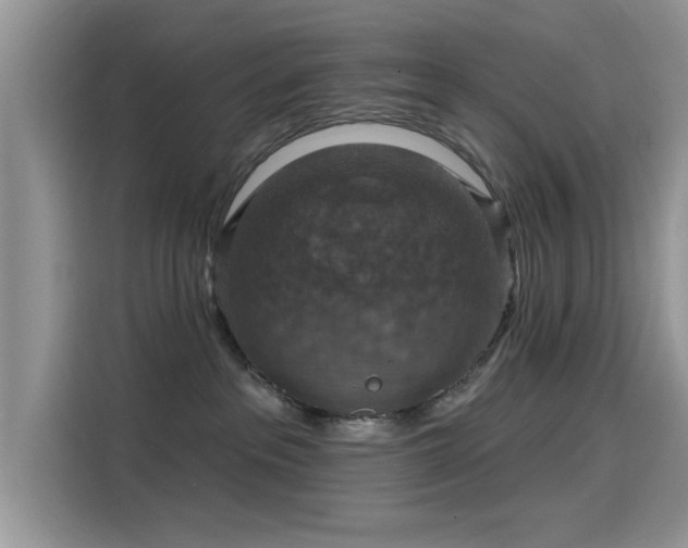 X0000115610237200911171154