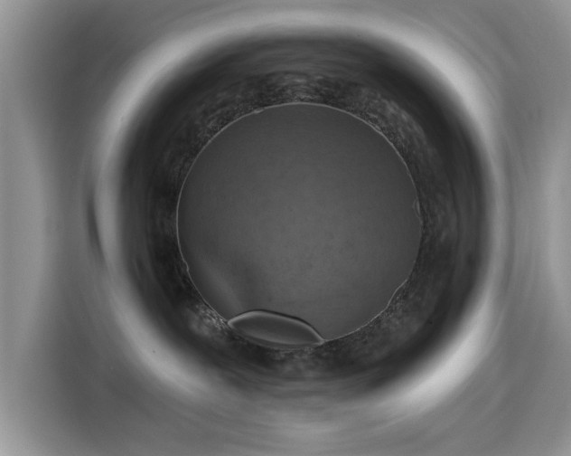 X0000115610239200911171154