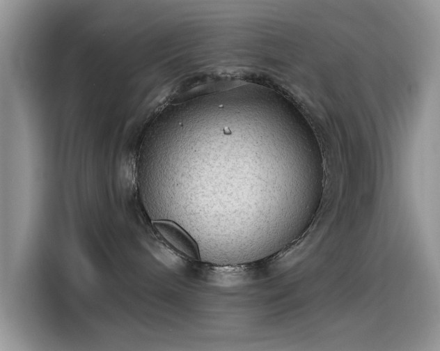 X0000115610240200911171154