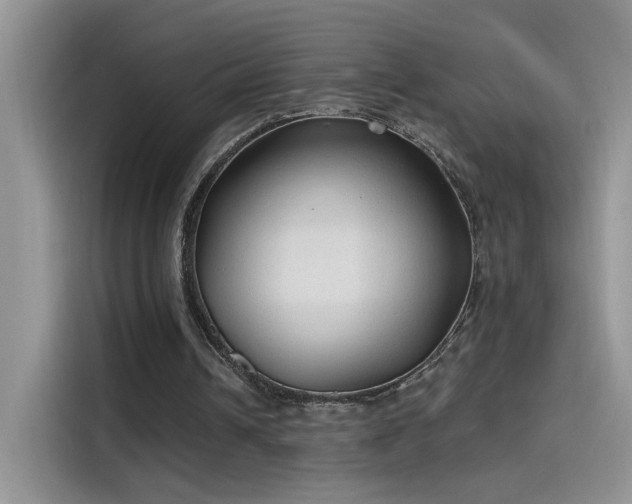 X0000115610242200911171154