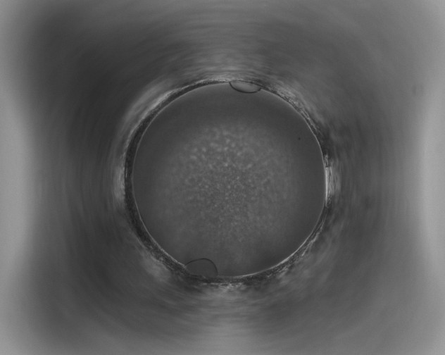 X0000115610243200911171154