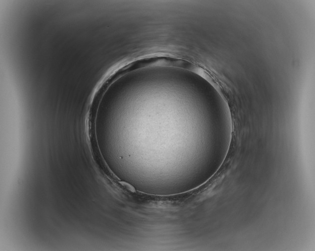 X0000115610244200911171154