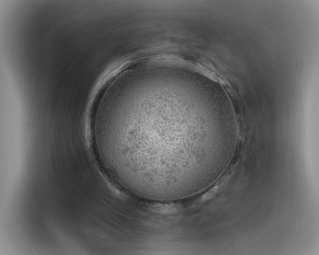 X0000115610245200911171154