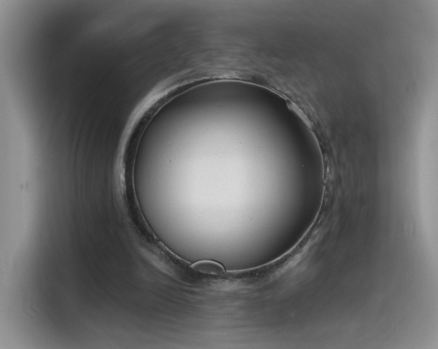 X0000115610246200911171154