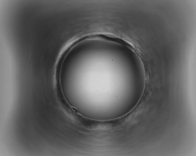 X0000115610248200911171154