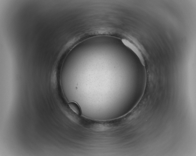 X0000115610250200911171154