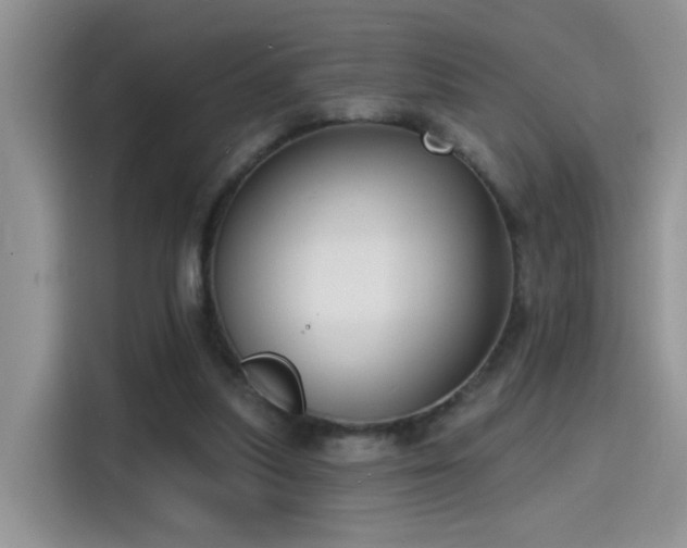 X0000115610251200911171154