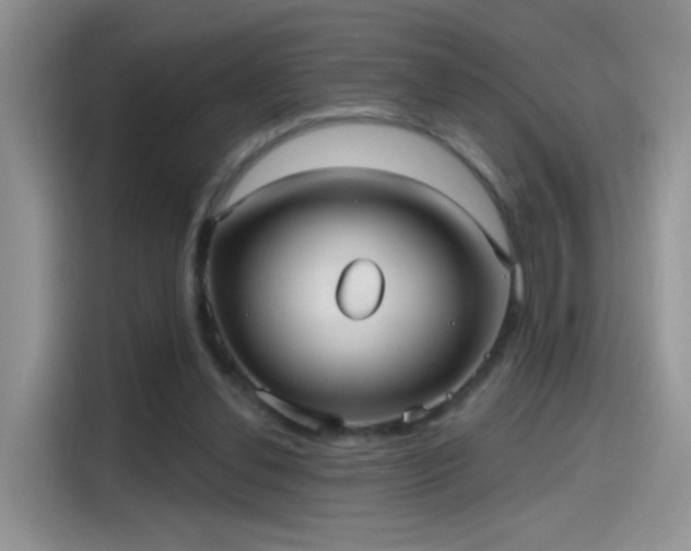 X0000115610252200911171154