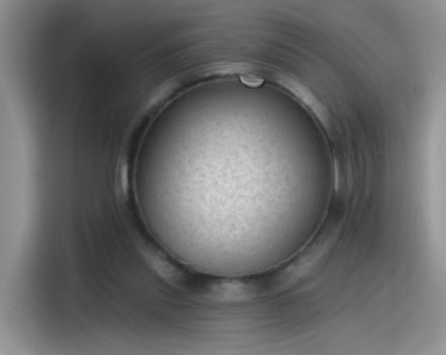 X0000115610253200911171154