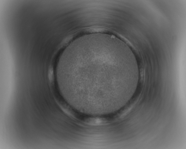 X0000115610254200911171154