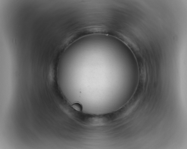 X0000115610255200911171154