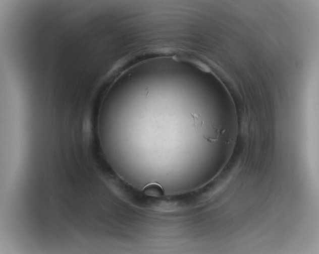 X0000115610256200911171154
