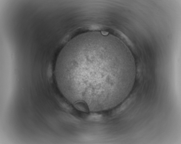 X0000115610257200911171154