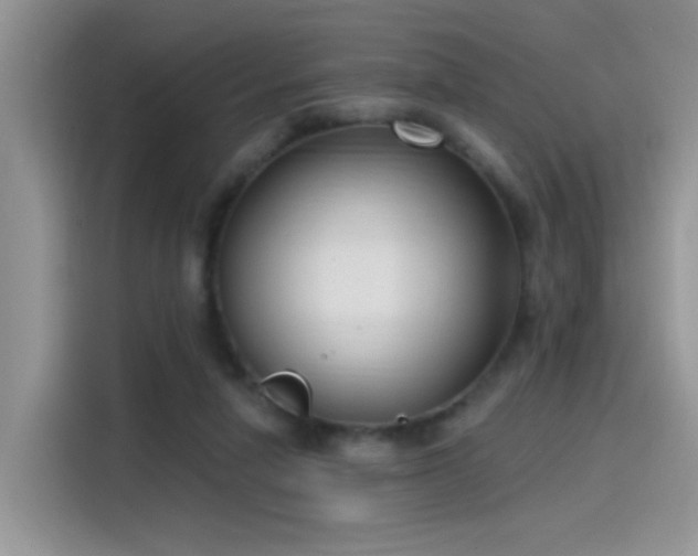 X0000115610258200911171154