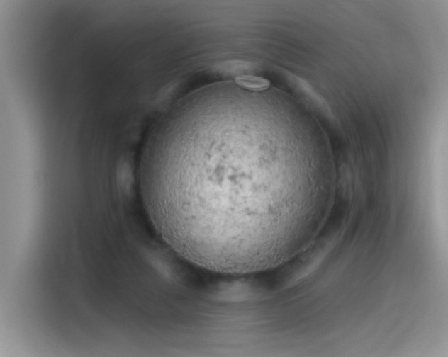 X0000115610259200911171154