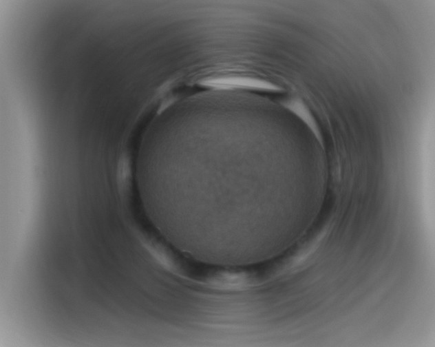 X0000115610260200911171154