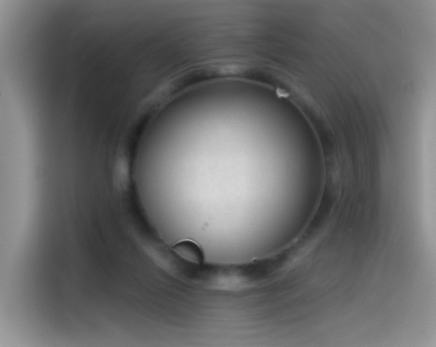 X0000115610262200911171154