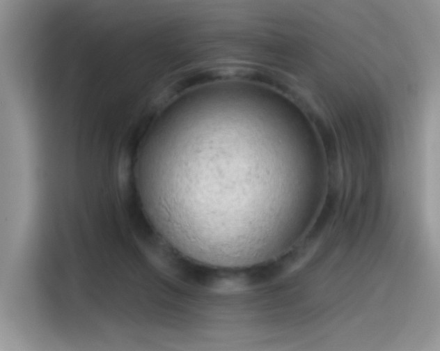 X0000115610263200911171154