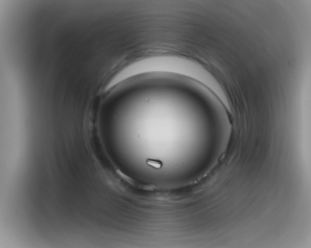 X0000115610264200911171154