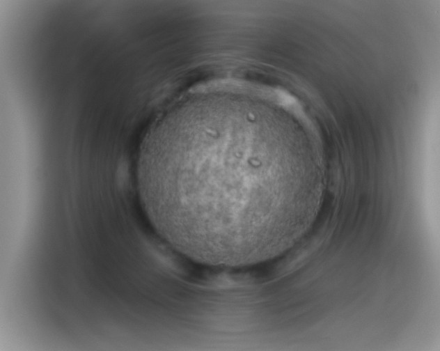 X0000115610270200911171154