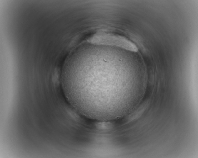 X0000115610273200911171154