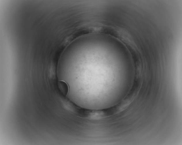 X0000115610274200911171154