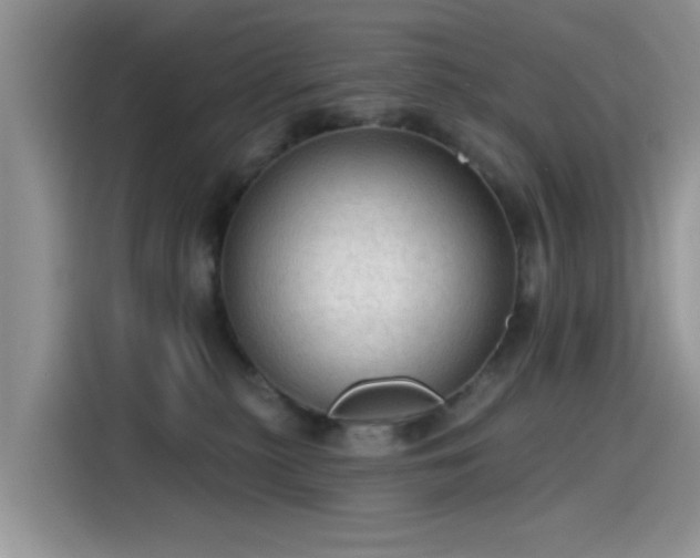 X0000115610279200911171154