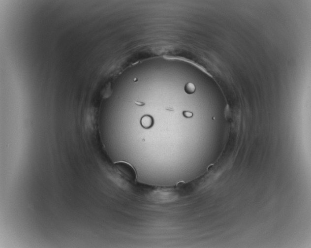 X0000115610280200911171154