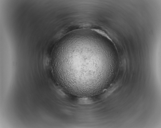 X0000115610281200911171154